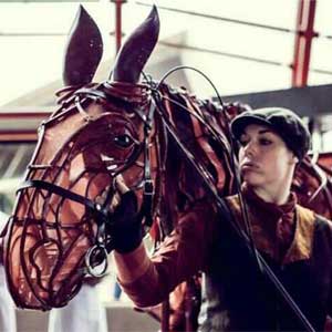 From Acting school to touring internationally as a Puppeteer, One graduates story. 