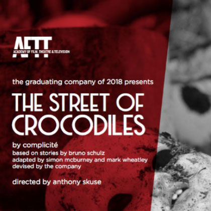 The Street of Crocodiles 